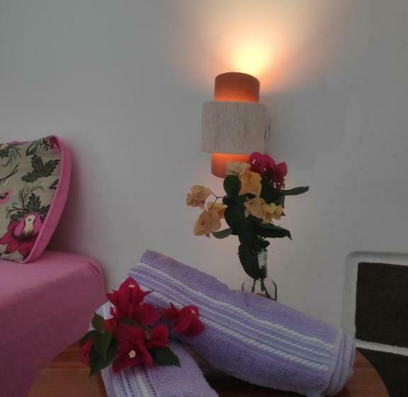 膳宿费 Anacardium