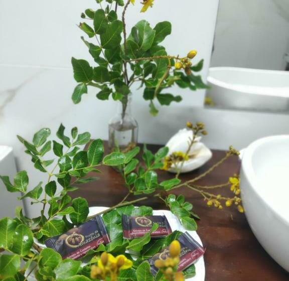 膳宿费 Anacardium