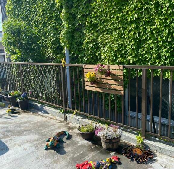 הוסטל Casa Del Girasolカサデルヒラソル