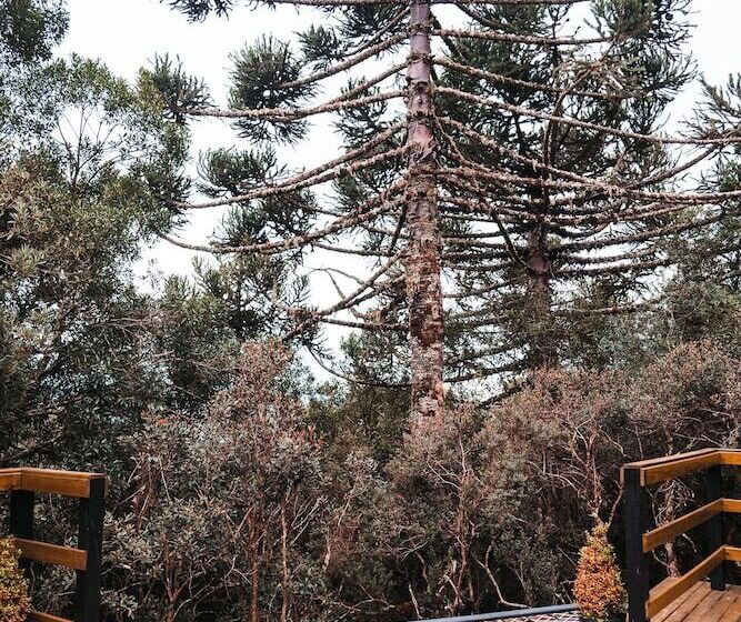 酒店 Zion Bubble Glamping