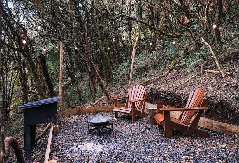 酒店 Zion Bubble Glamping