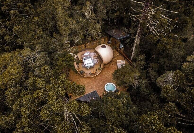 هتل Zion Bubble Glamping