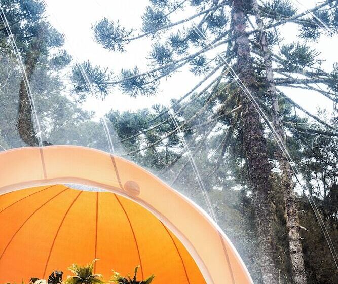 酒店 Zion Bubble Glamping