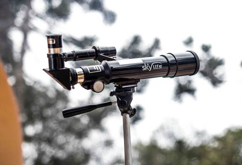 酒店 Zion Bubble Glamping