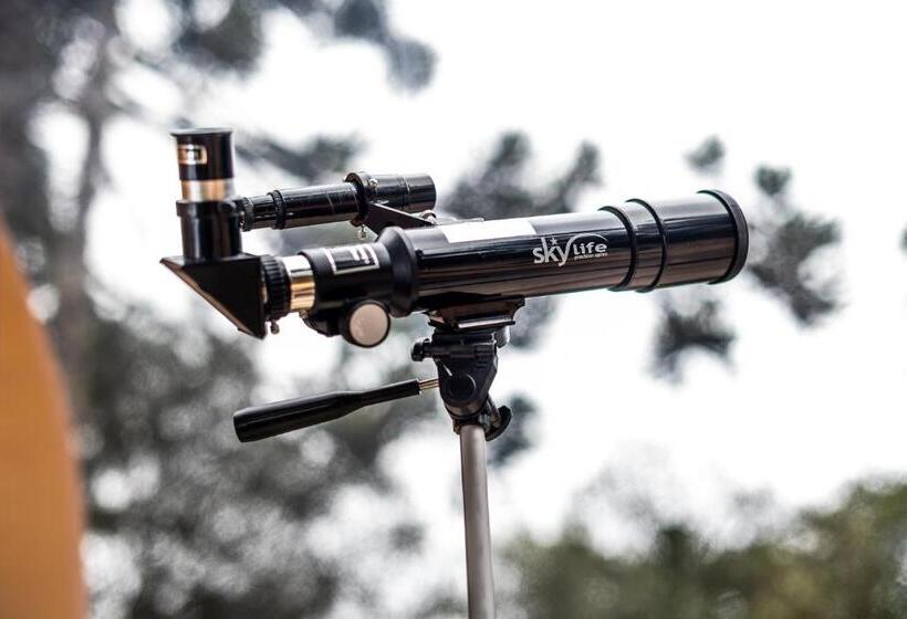 酒店 Zion Bubble Glamping