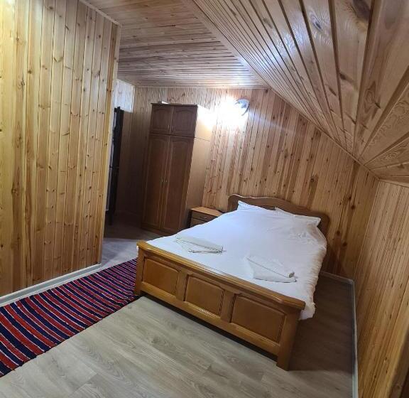 Пансион Casa Voronet