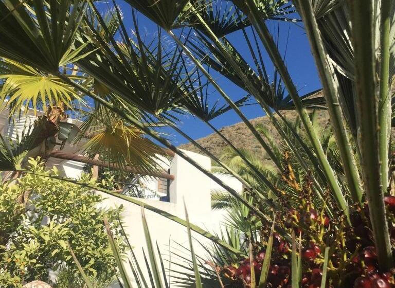 Пансион Mill.space