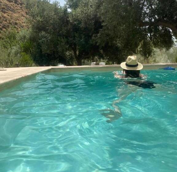 Пансион Mill.space