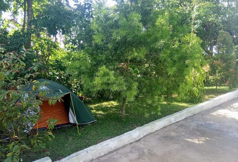 پانسیون Plastic Bottles House