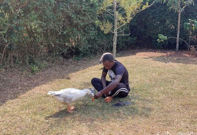 پانسیون Plastic Bottles House