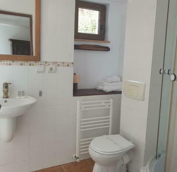 פנסיון Studio Rasnov Apartaments