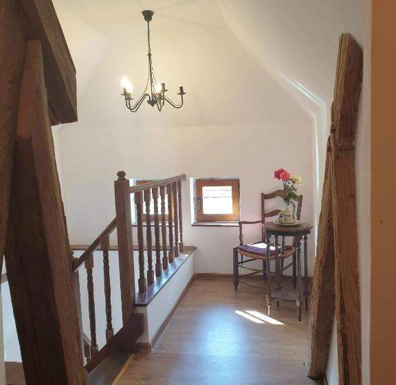 פנסיון Studio Rasnov Apartaments