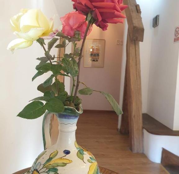 פנסיון Studio Rasnov Apartaments