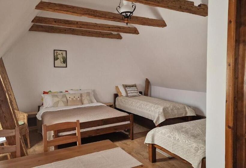 פנסיון Studio Rasnov Apartaments