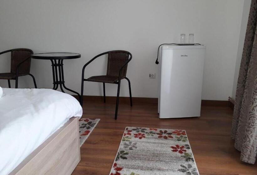 بنسيون Vila Ovidiu