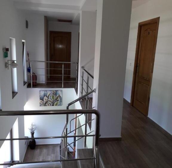 بنسيون Vila Ovidiu