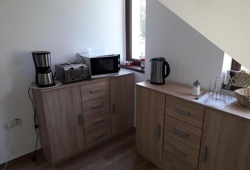 بنسيون Vila Ovidiu