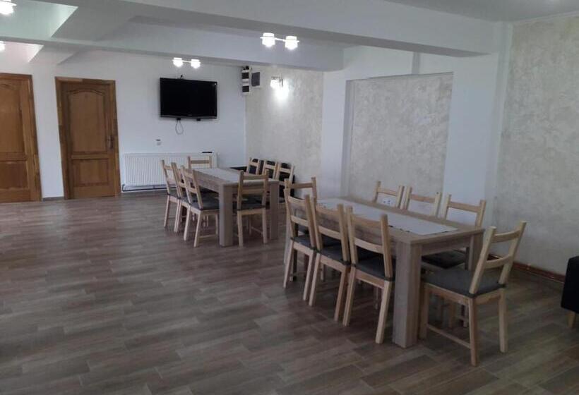 بنسيون Vila Ovidiu