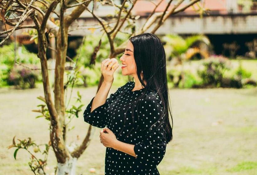 ユースホステル Balcones Del Paraíso