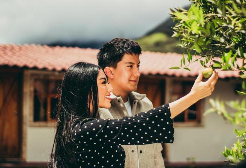 ユースホステル Balcones Del Paraíso