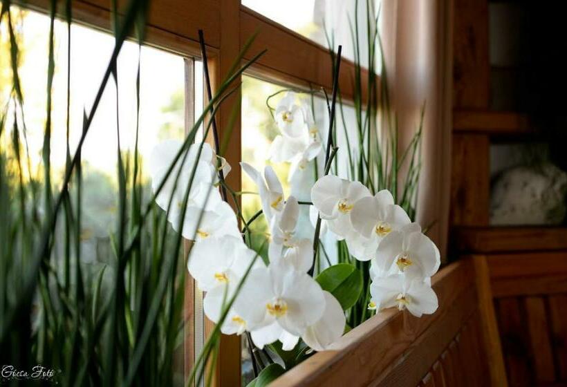 هاستل Hiša Vina Cuk