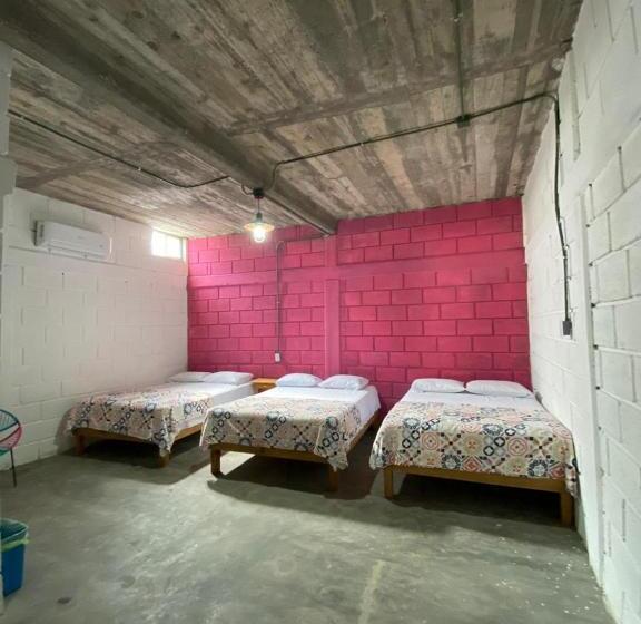 호스텔 Mesón Carranza