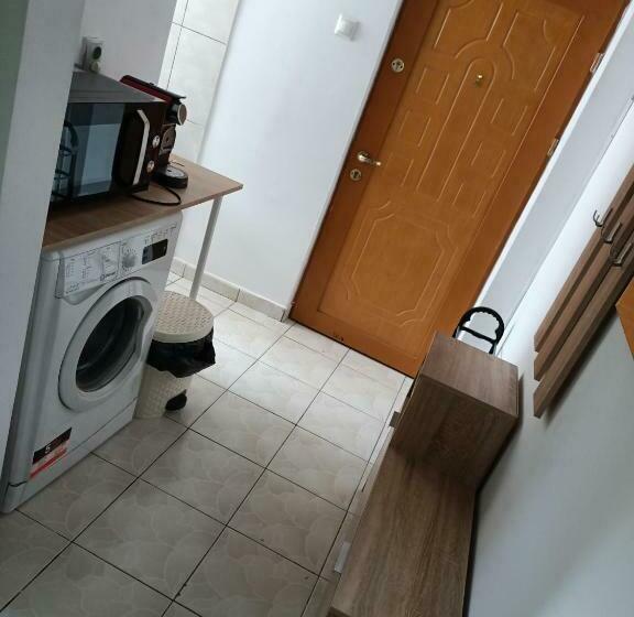 Amy Garsoniera Centru