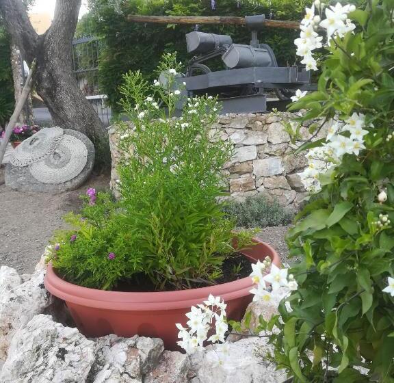 B&b Polline & Conchiglie