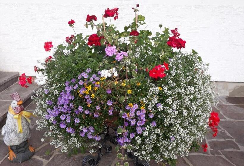 צימר Pension Unterhof