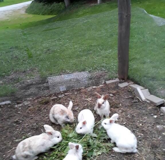 צימר Pension Unterhof