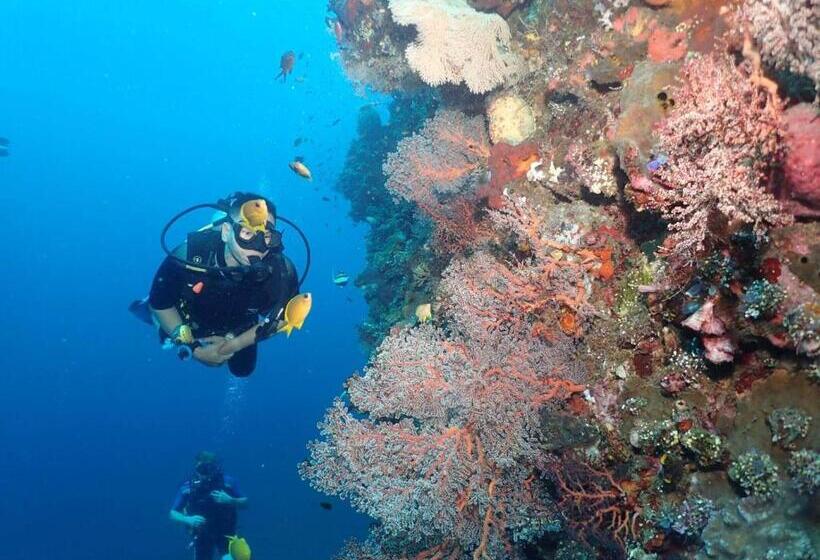 Black Sand Hostel Amed