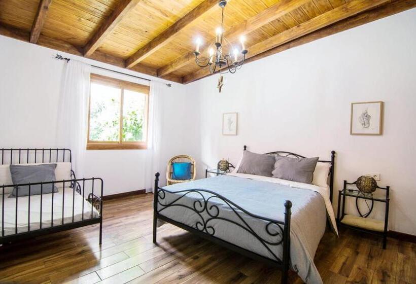 Cozy House Casa Vero Mai Icod De Los Vinos