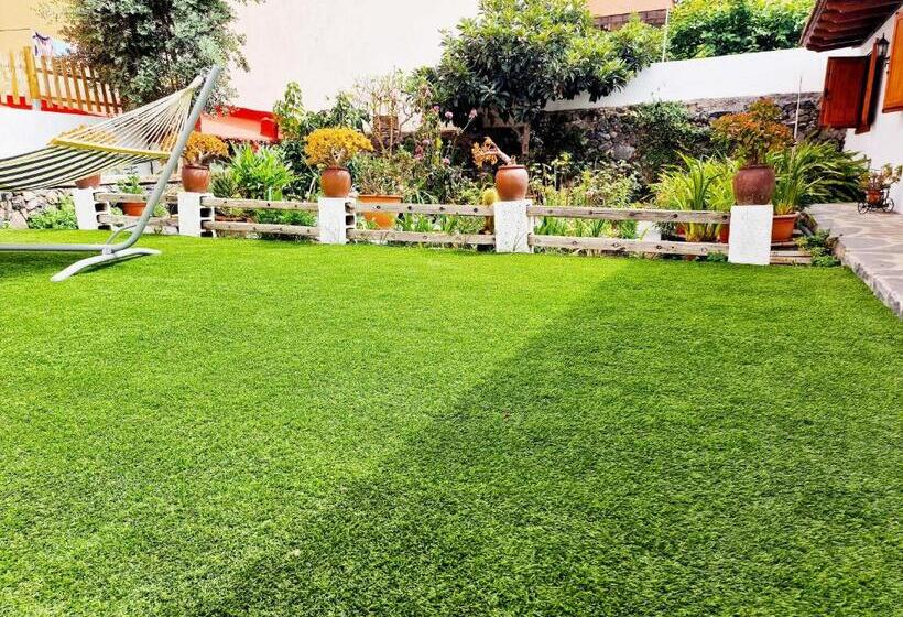 Cozy House Casa Vero Mai Icod De Los Vinos