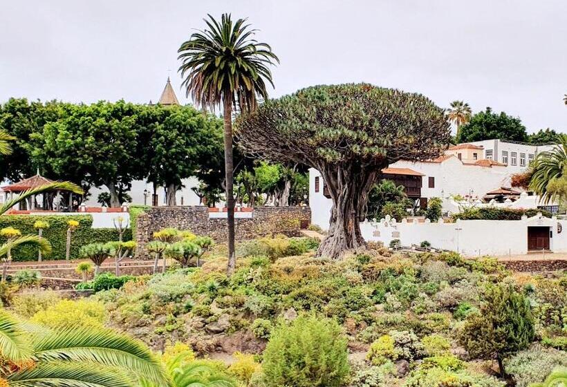 Cozy House Casa Vero Mai Icod De Los Vinos