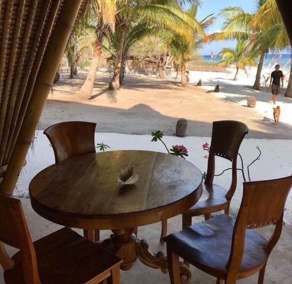 فندق Eco Dive Resort Alycastre