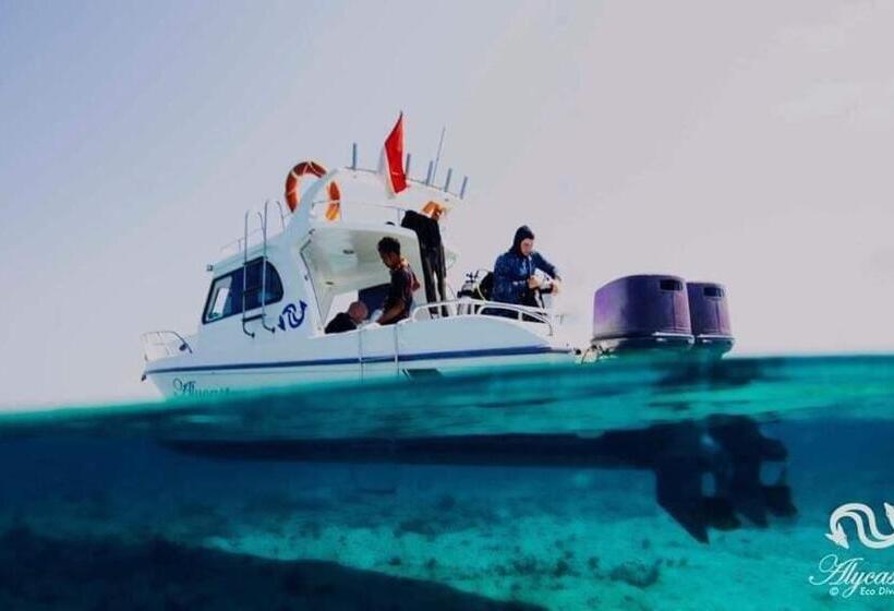 فندق Eco Dive Resort Alycastre