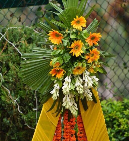 בית מלון כפרי Peaks And Pines Resort