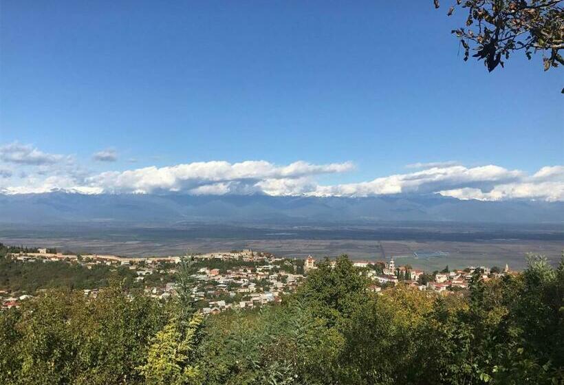 پانسیون Family Hotel In Nukriani , 2km From Sighnaghi