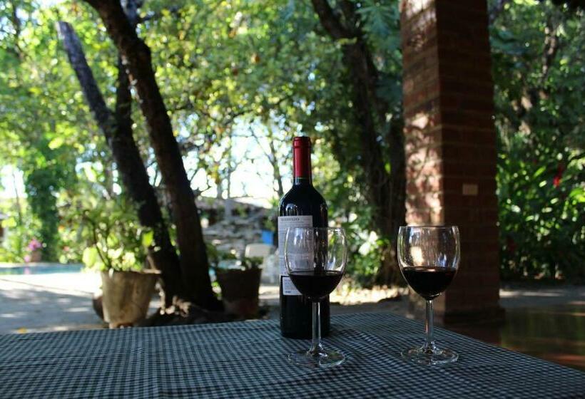 بنسيون Hostal El Carmen