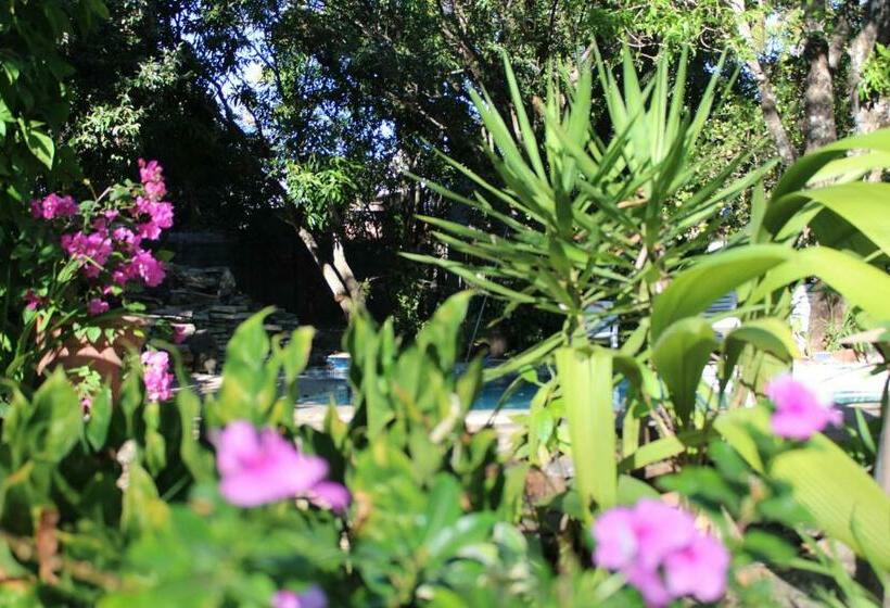 بنسيون Hostal El Carmen