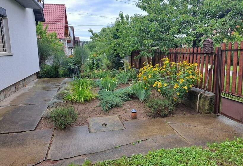 Пансион Szilva Apartman