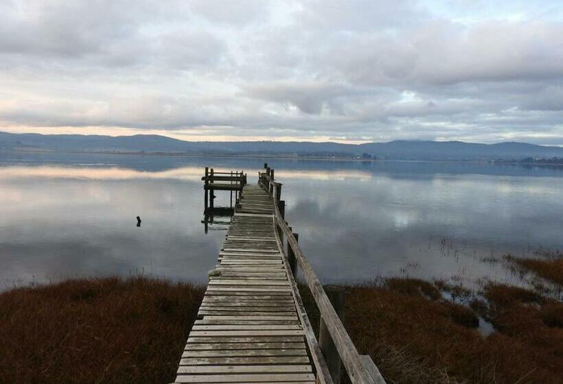 פנסיון Tamar House