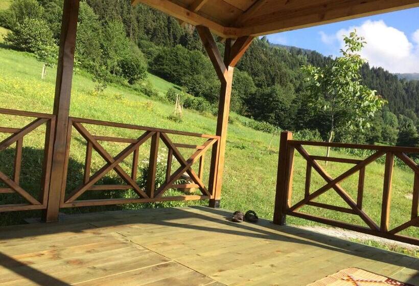 Pensione Vi̇lla Devor