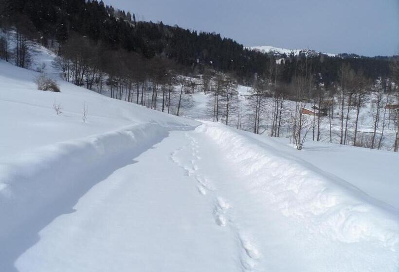 Pensione Vi̇lla Devor