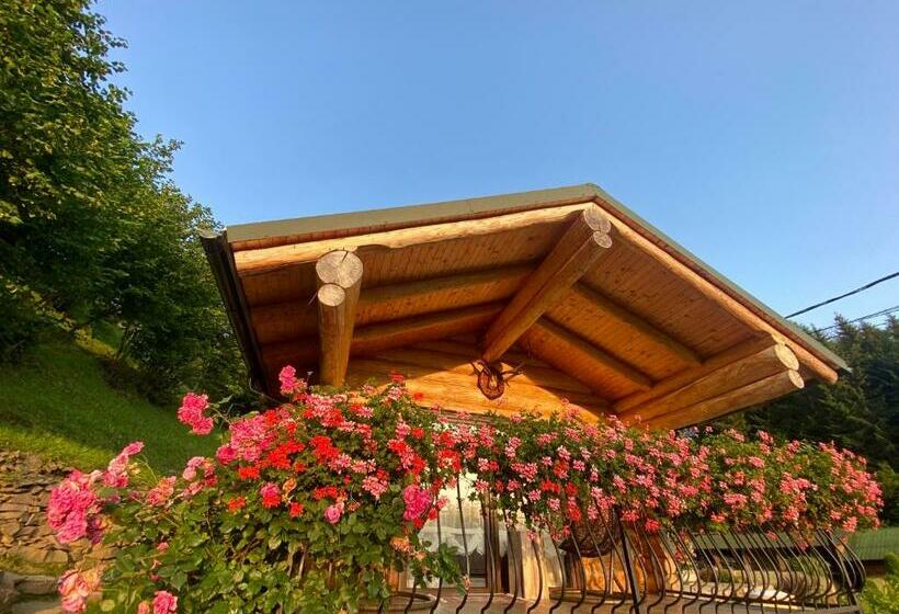 Pensiunea Agroturistica Borsa