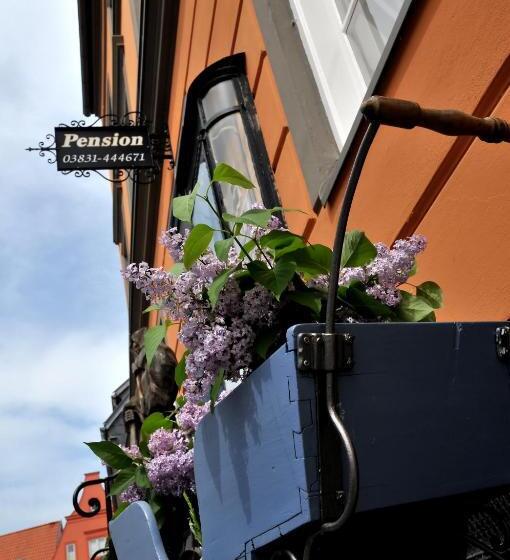 住宿加早餐  Pension Altstadt Mönch In Top Lage Preis Inclusive 5 Prozent Bettensteuer Und Frühstück