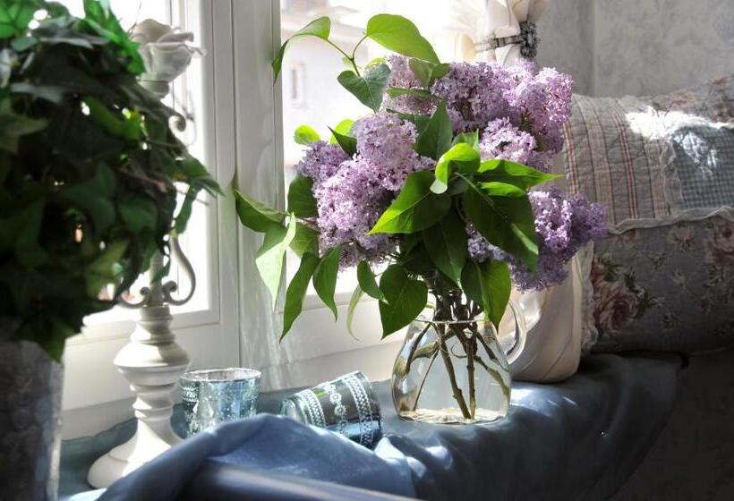 住宿加早餐  Pension Altstadt Mönch In Top Lage Preis Inclusive 5 Prozent Bettensteuer Und Frühstück