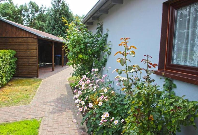 住宿加早餐  Pension Am Stettiner Haff