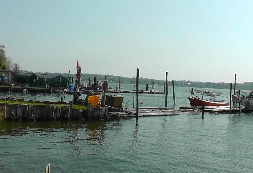 Domhotel Bed & Breakfast