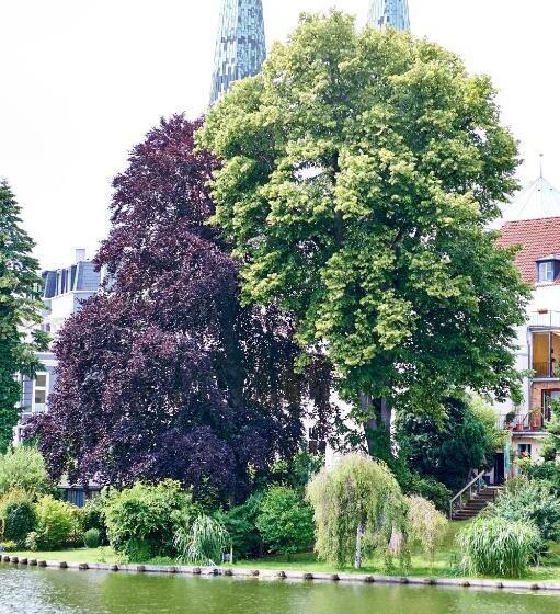 酒店 Am Mühlenteich